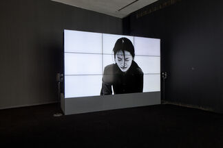 New Directions: Tao Hui, installation view