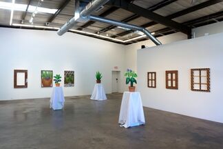 Mike Carney: Looking to See the Thing, installation view