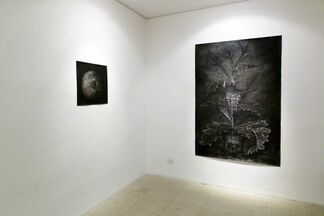 Dror Ben Ami || Black is a Color, installation view