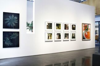 "Flora" - Group Show, installation view
