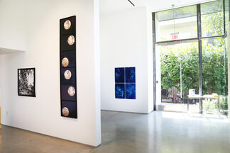 Seeing the Unseen, installation view