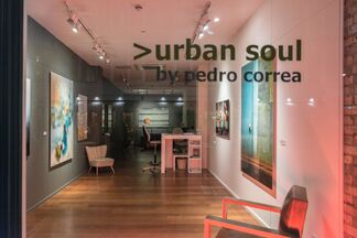 >urban soul, installation view