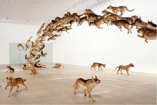 Cai Guo-Qiang: There and Back Again, installation view
