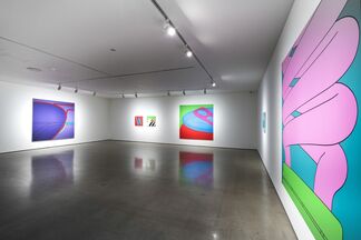 Michael Craig-Martin: All in All, installation view
