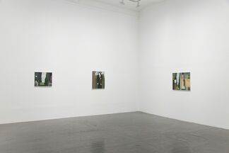 Bruno Knutman - Nattstycke / Night Piece, installation view