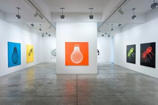 Peter Kogler, installation view