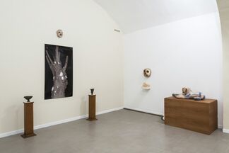 Fusion and absorption, installation view