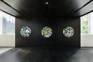 Tomokazu Matsuyama : Outside Looking In, installation view