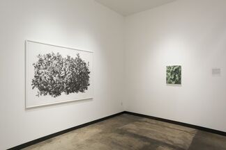 Eric Elliott: "Overgrown", installation view