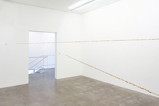 Jac Leirner: Addiction, installation view