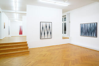 Mark Francis - Reverb, installation view