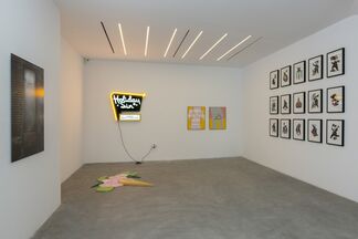 Alice in Crisis, installation view