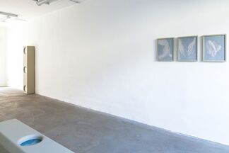 Graue Passion (engl. Grey Passion), installation view