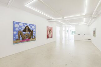 STEVE CANADAY - PAINTINGS, installation view