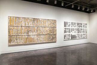 Ellen Harvey: The Museum of Ornamental Leaves and Other Monochromatic Collections, installation view