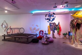 CAVERNOUS: Young Joon Kwak & Mutant Salon, installation view