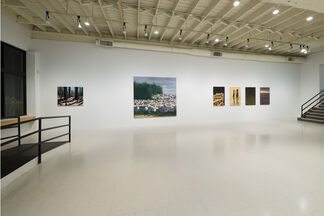 Michael Brophy: Home, installation view