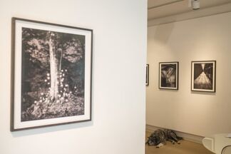 Photo Respirations – Photographs by Tokihiro Sato, installation view