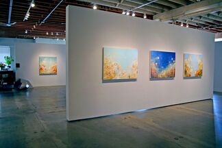 Michael Schultheis - Dreams of Pythagoras, installation view