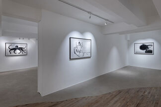 HERE COMES THE ROOSTER, installation view