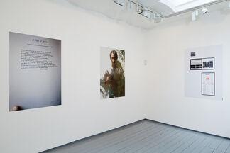 SNAP / The Portfolio 2011, installation view