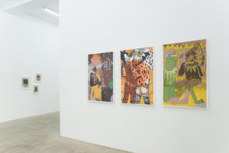 'Blast Over' curated by Christian Rex Van Minnen, installation view