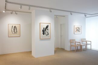 SHO - Modern Japanese Art of Writing, installation view