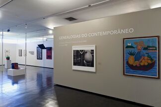 Genealogias do Contemporâneo - Coleção Gilberto Chateaubriand, installation view
