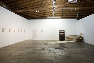 HI, HOW ARE YOU DANIEL JOHNSTON?, installation view