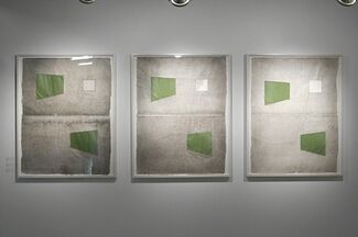 The Green Room by  Lluis Lleo, installation view