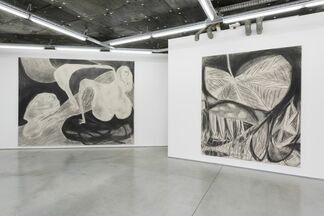 Anthony Miler, installation view