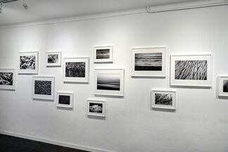 We are not islands, installation view