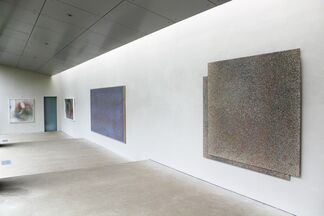 Ian Stephenson, installation view