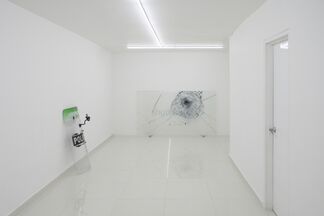 Juan Sebastián Peláez | Temporary Autonomous No Flex Zone, installation view