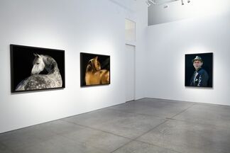 The Dream Goes Over Time, installation view