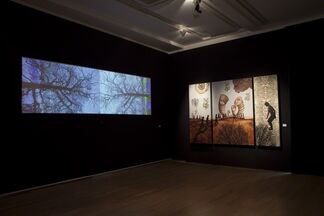 Sonia Mehra Chawla: The Embryonic Plant and Otherworlds, installation view