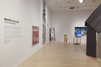 Bronx Calling: The Third AIM Biennial, installation view