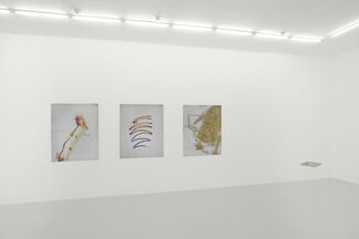 CALCULATED OPTIMISM - Mikkel Carl, installation view