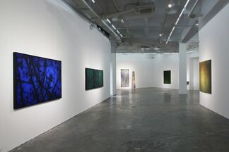 Spring Discovery 2017, installation view
