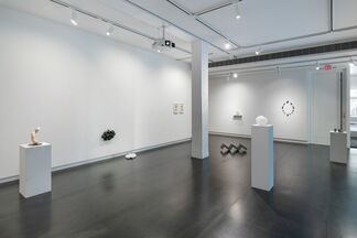 Plane of Scattered Pasts, installation view