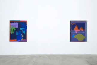 Daniel Gordon: Selective Color, installation view