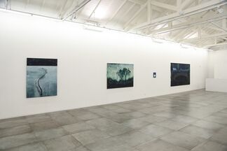 Alexandre Wagner - O Sol da Noite, installation view
