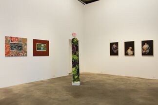 NOT PHOTOGRAPHY, installation view