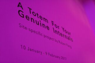 A Totem Of Your Genuine Internals by Ruben Pang, installation view