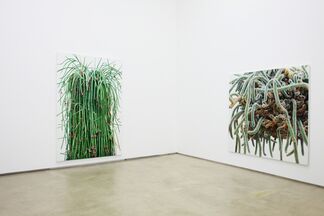 Kwangho Lee : TOUCH, installation view