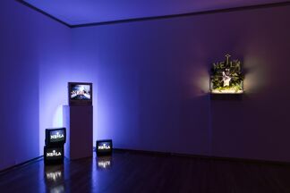 In Every Language We Know, installation view