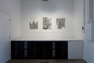Helen Altman: Home to Roost, installation view