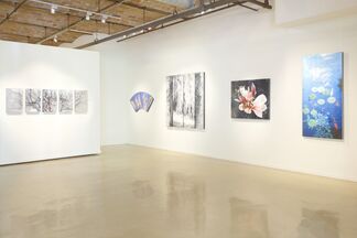 Susan Goldsmith: Objects of Reflection, installation view