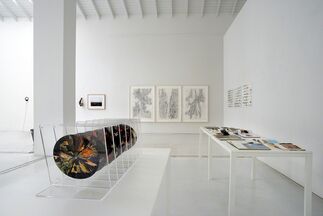 Back to the Land, installation view