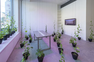 At the Temperature of My Body, installation view